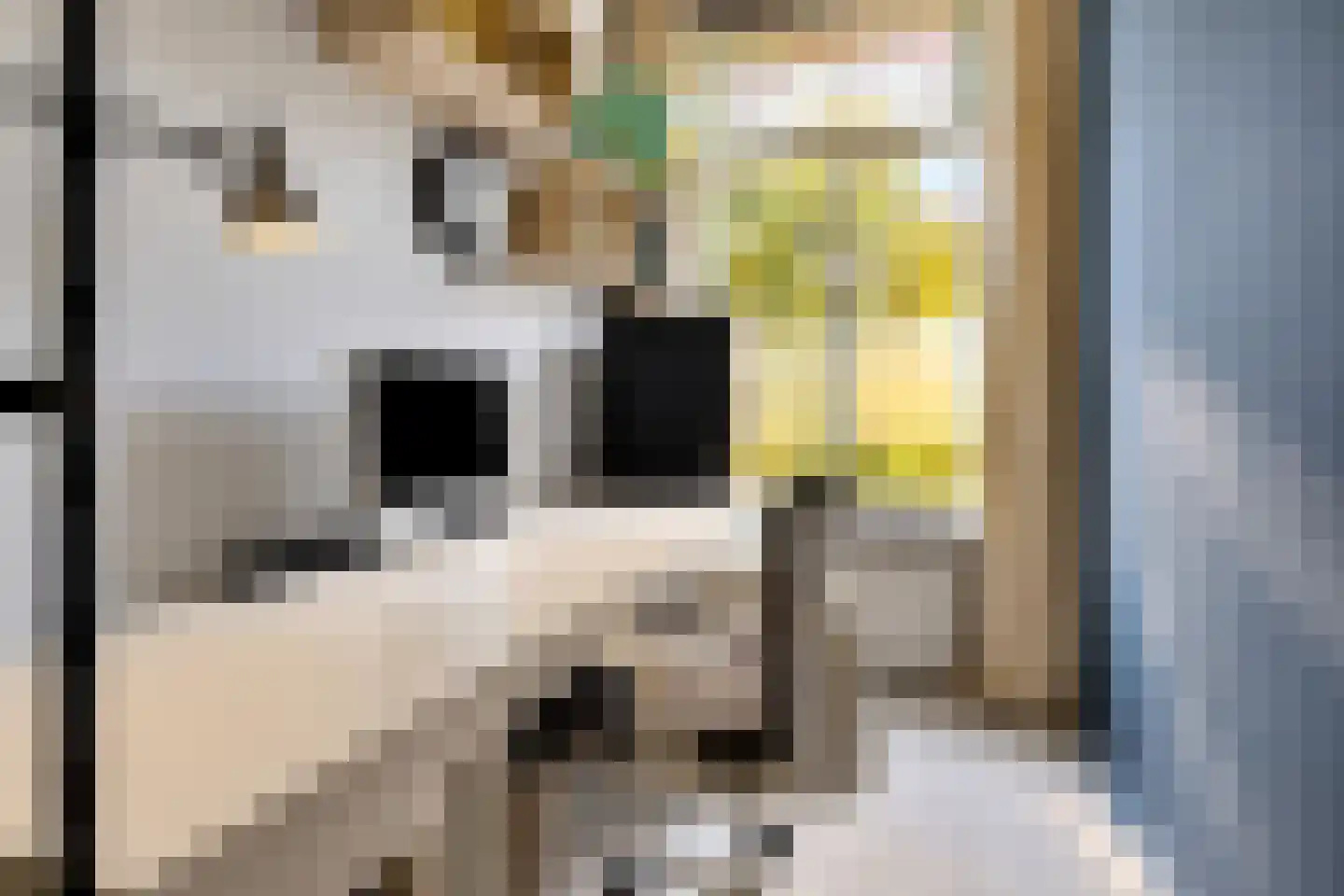 Rijn en Schiekade 47 Leiden thumbnail 37