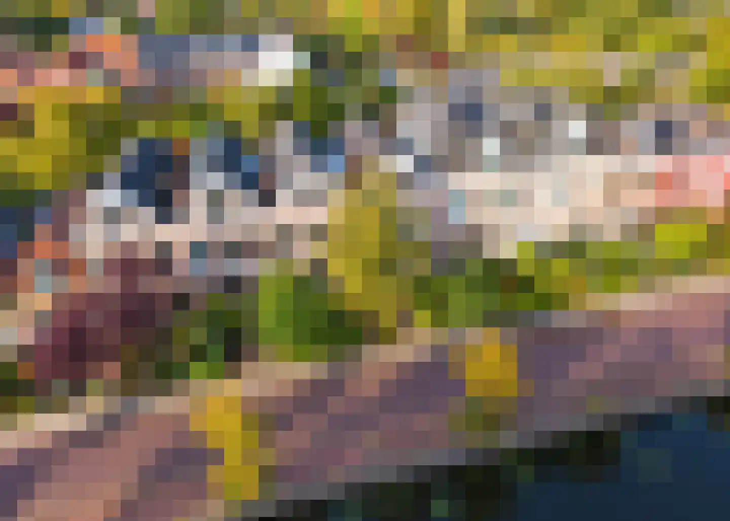 Rijn en Schiekade 47 Leiden thumbnail 51