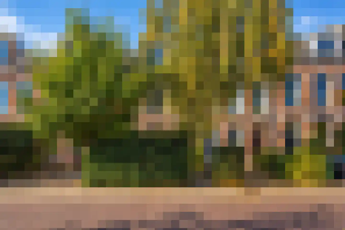 Rijn en Schiekade 47 Leiden thumbnail 54