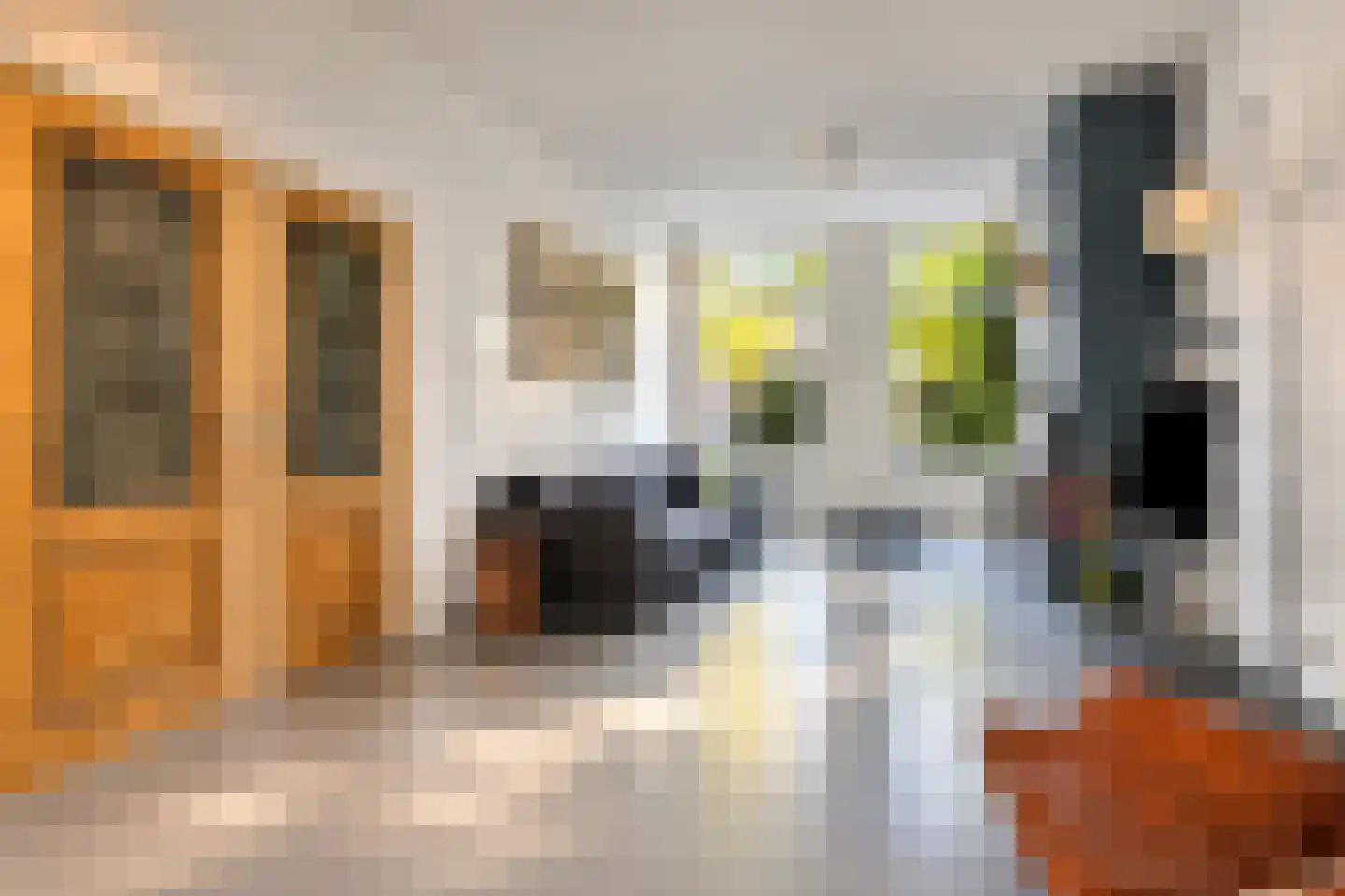 Rijn en Schiekade 47 Leiden thumbnail 7