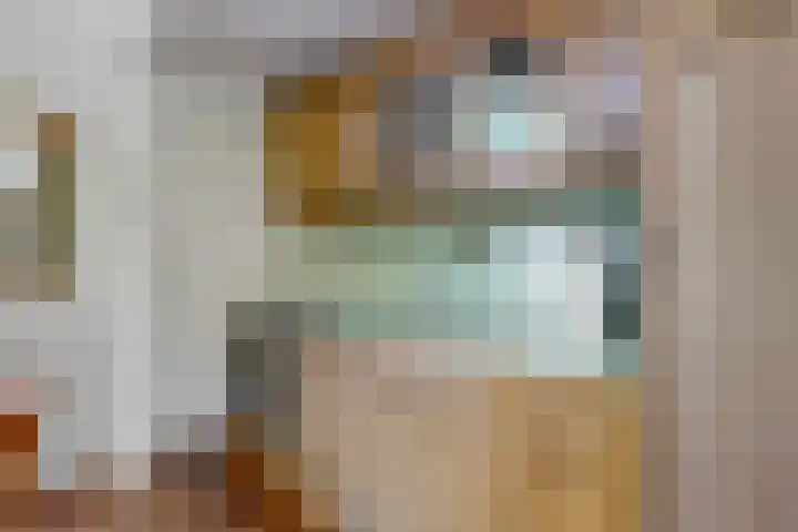 Rijn en Schiekade 50 Leiden thumbnail 13