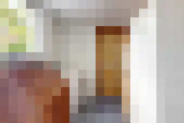 Rijn en Schiekade 50 Leiden thumbnail 15