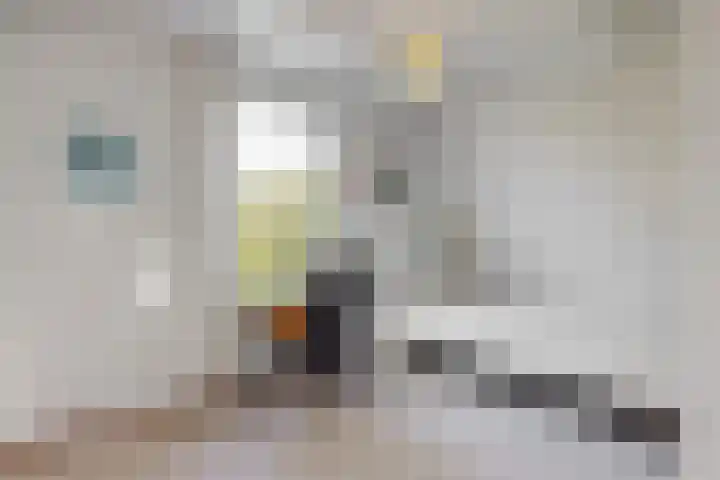 Rijn en Schiekade 50 Leiden thumbnail 22