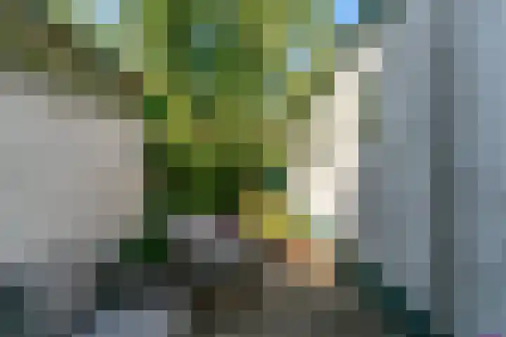 Rijn en Schiekade 50 Leiden thumbnail 31