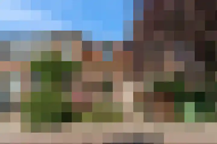 Rijn en Schiekade 50 Leiden thumbnail 39