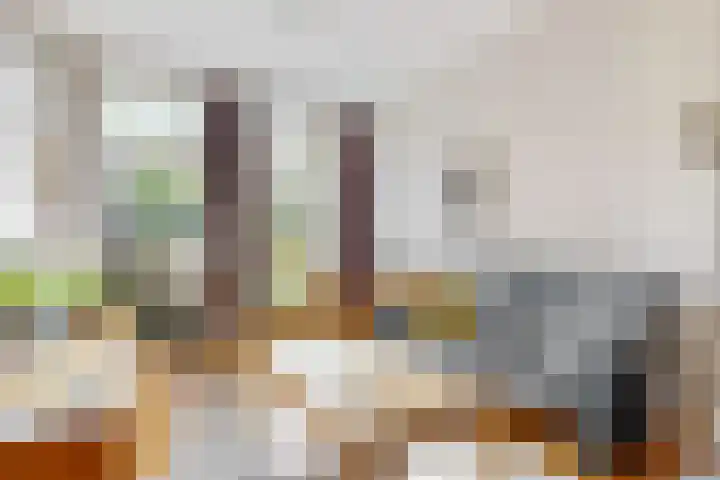 Rijn en Schiekade 50 Leiden thumbnail 6