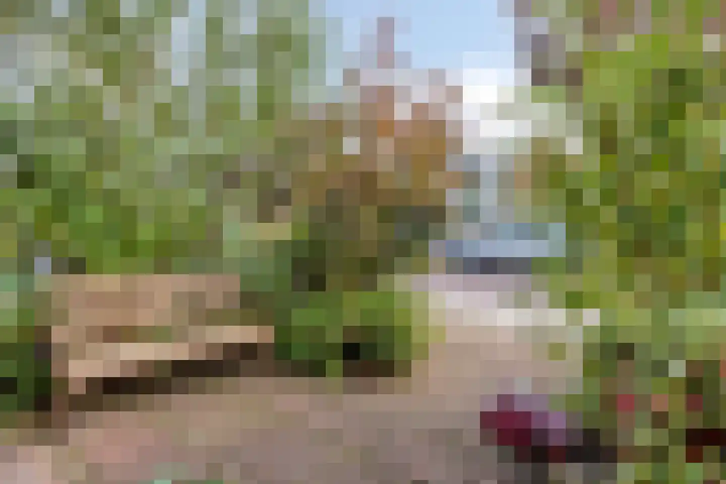 Rijn en Schiekade 63 Leiden thumbnail 11