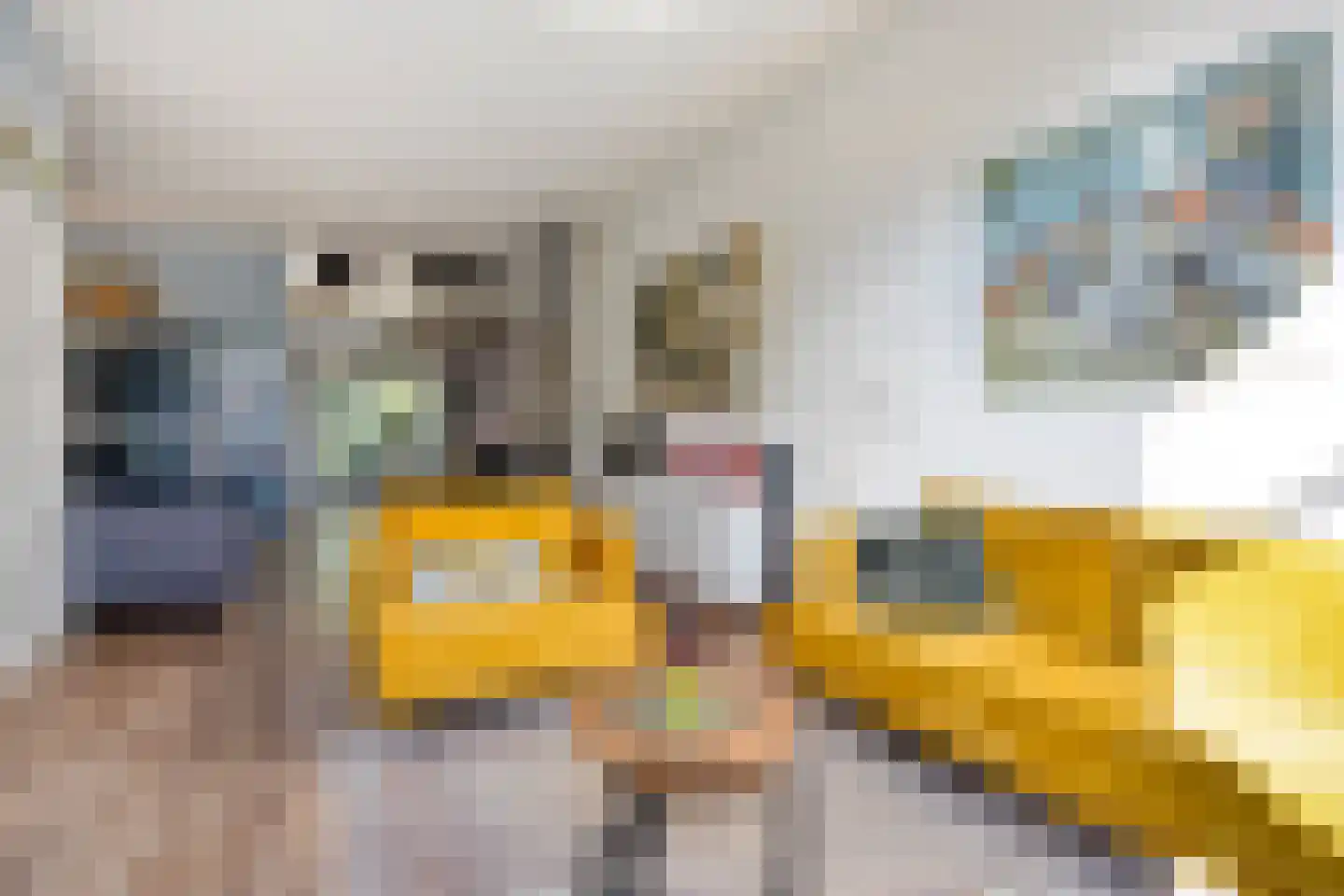 Rijn en Schiekade 63 Leiden thumbnail 16