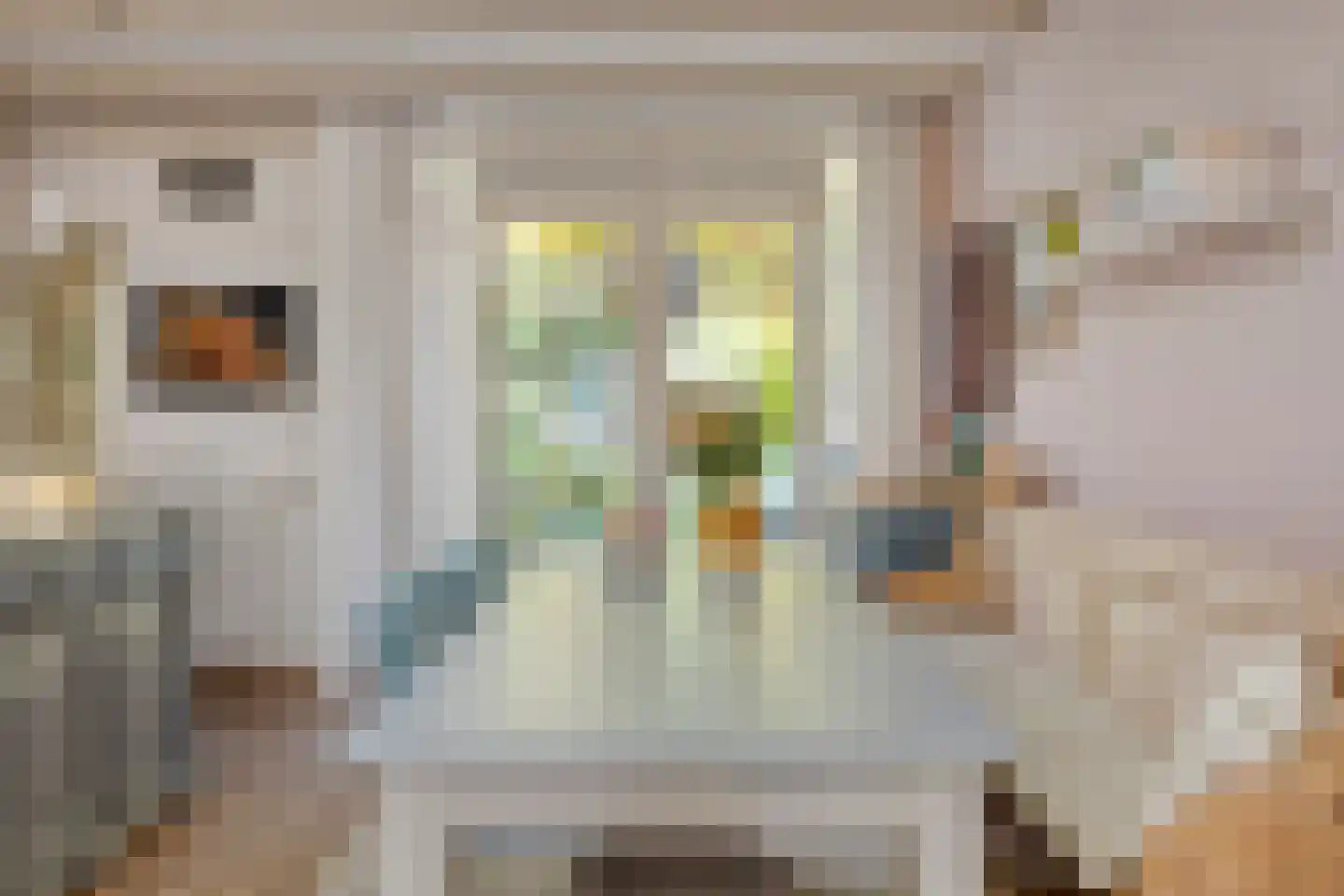 Rijn en Schiekade 63 Leiden thumbnail 24