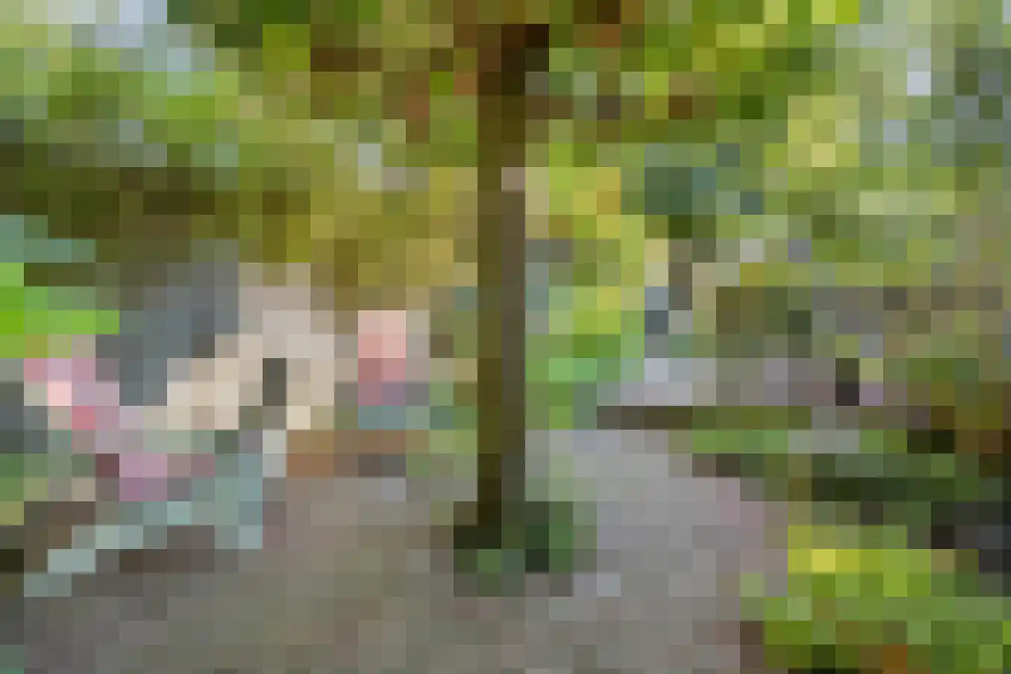 Rijn en Schiekade 63 Leiden thumbnail 38