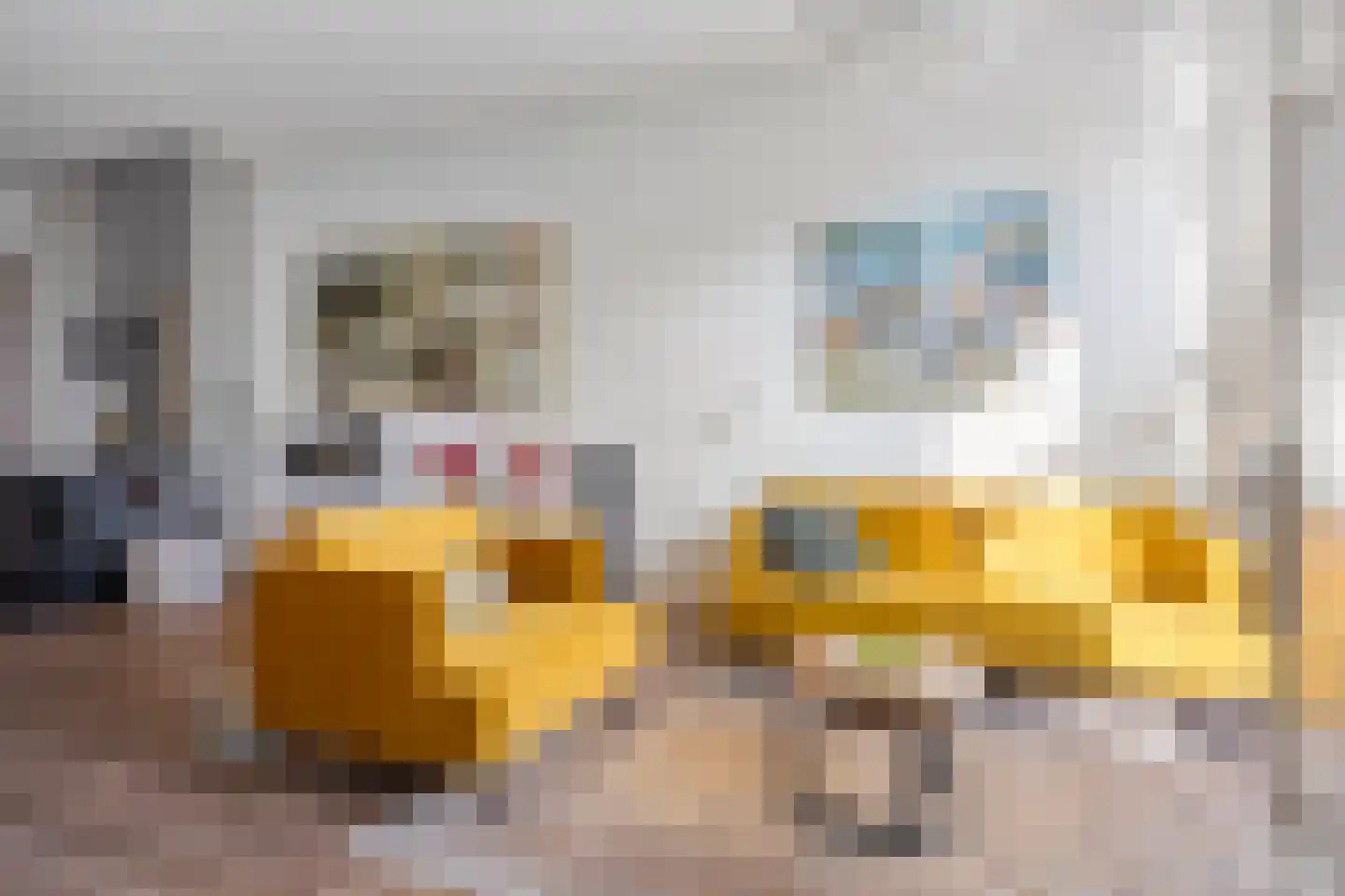 Rijn en Schiekade 63 Leiden thumbnail 4