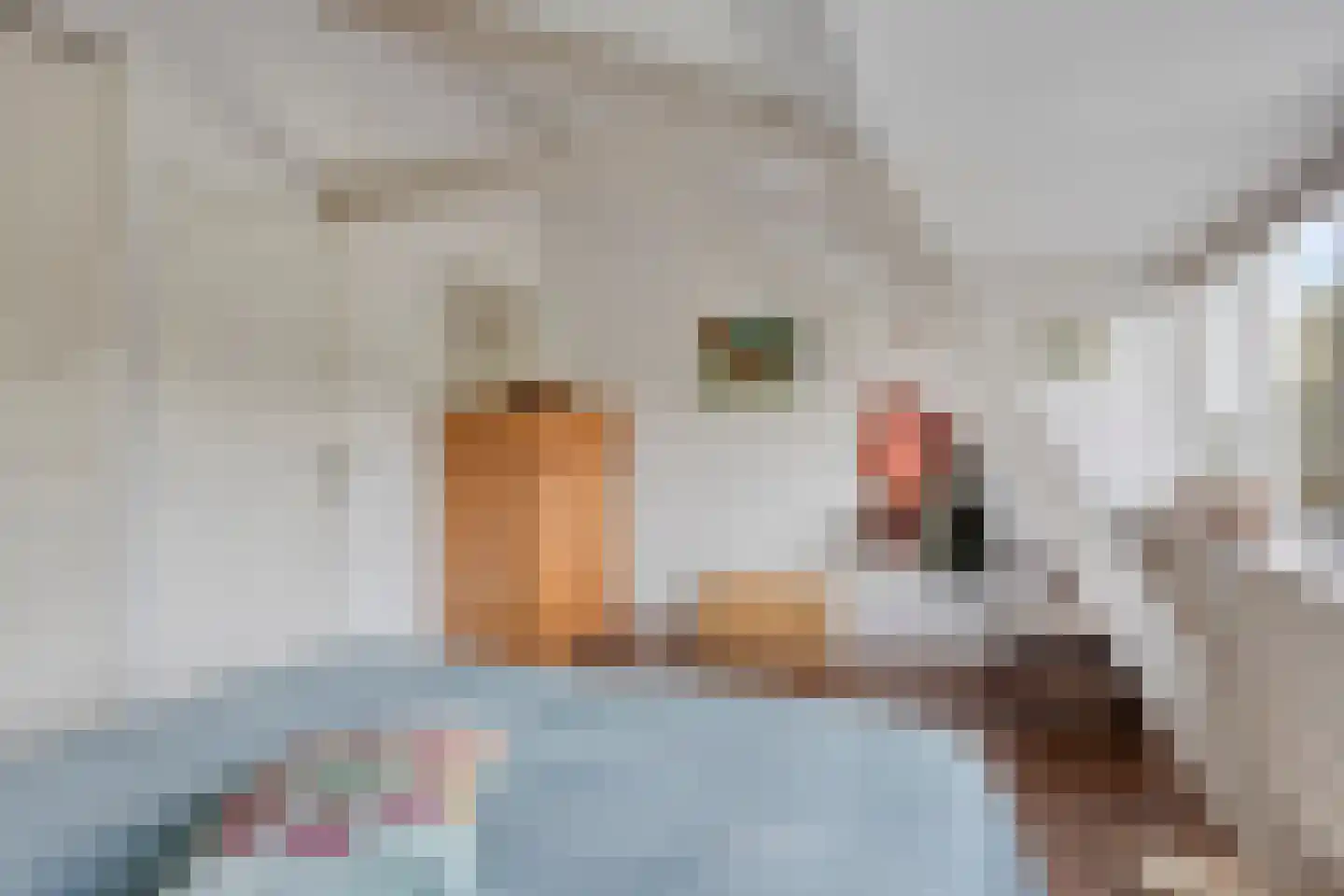 Rijn en Schiekade 63 Leiden thumbnail 45