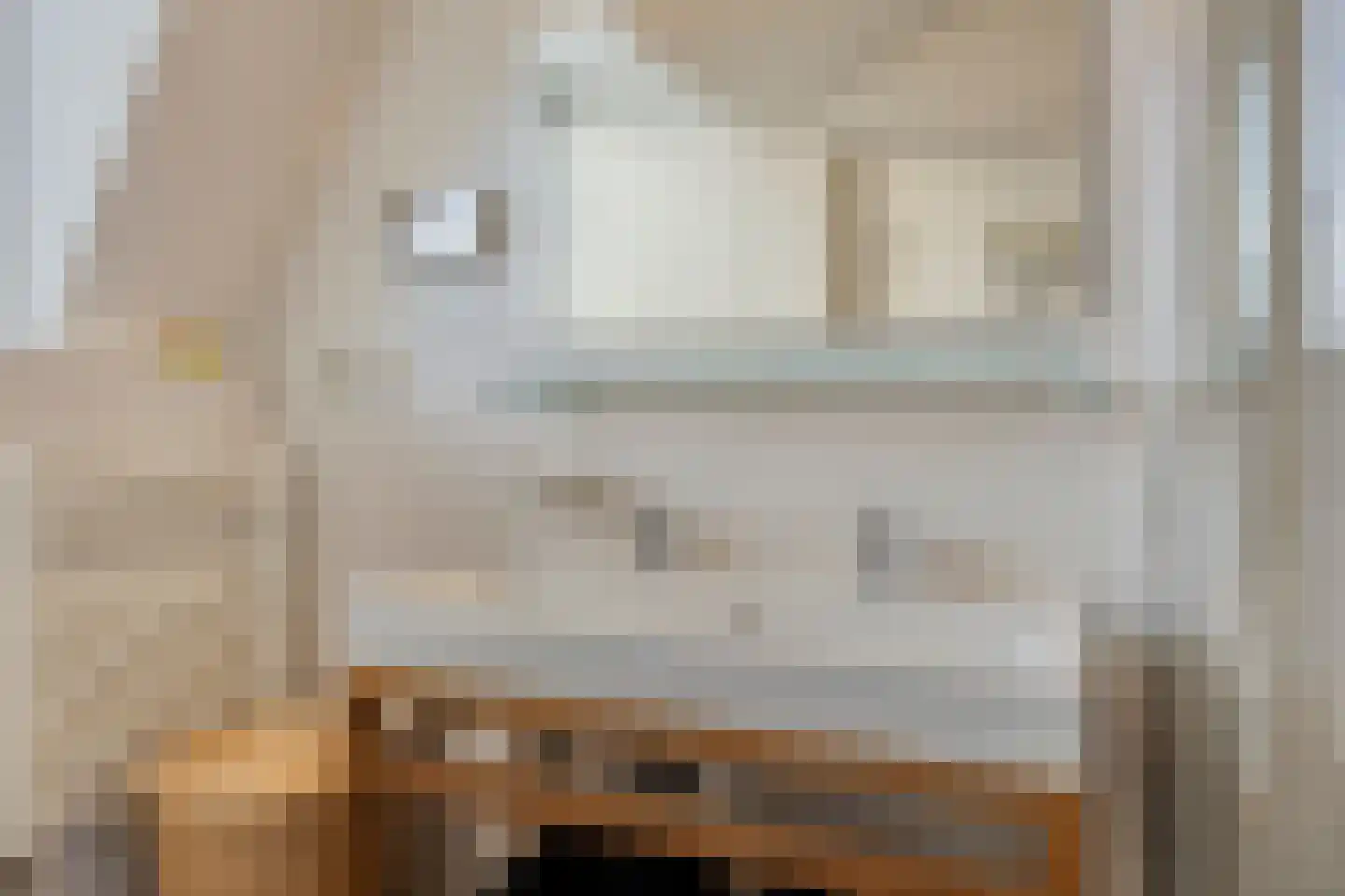 Rijn en Schiekade 63 Leiden thumbnail 47