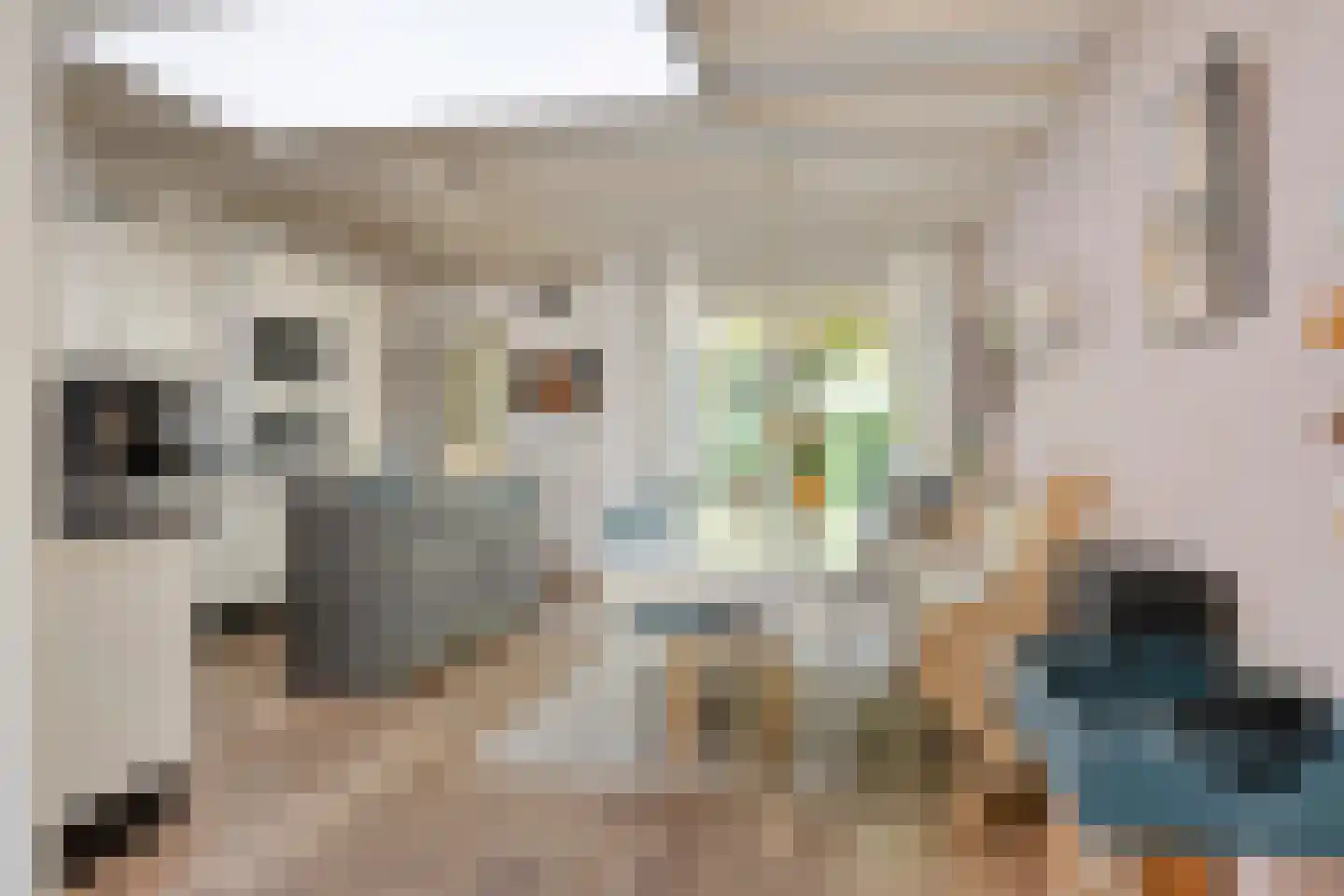 Rijn en Schiekade 63 Leiden thumbnail 5