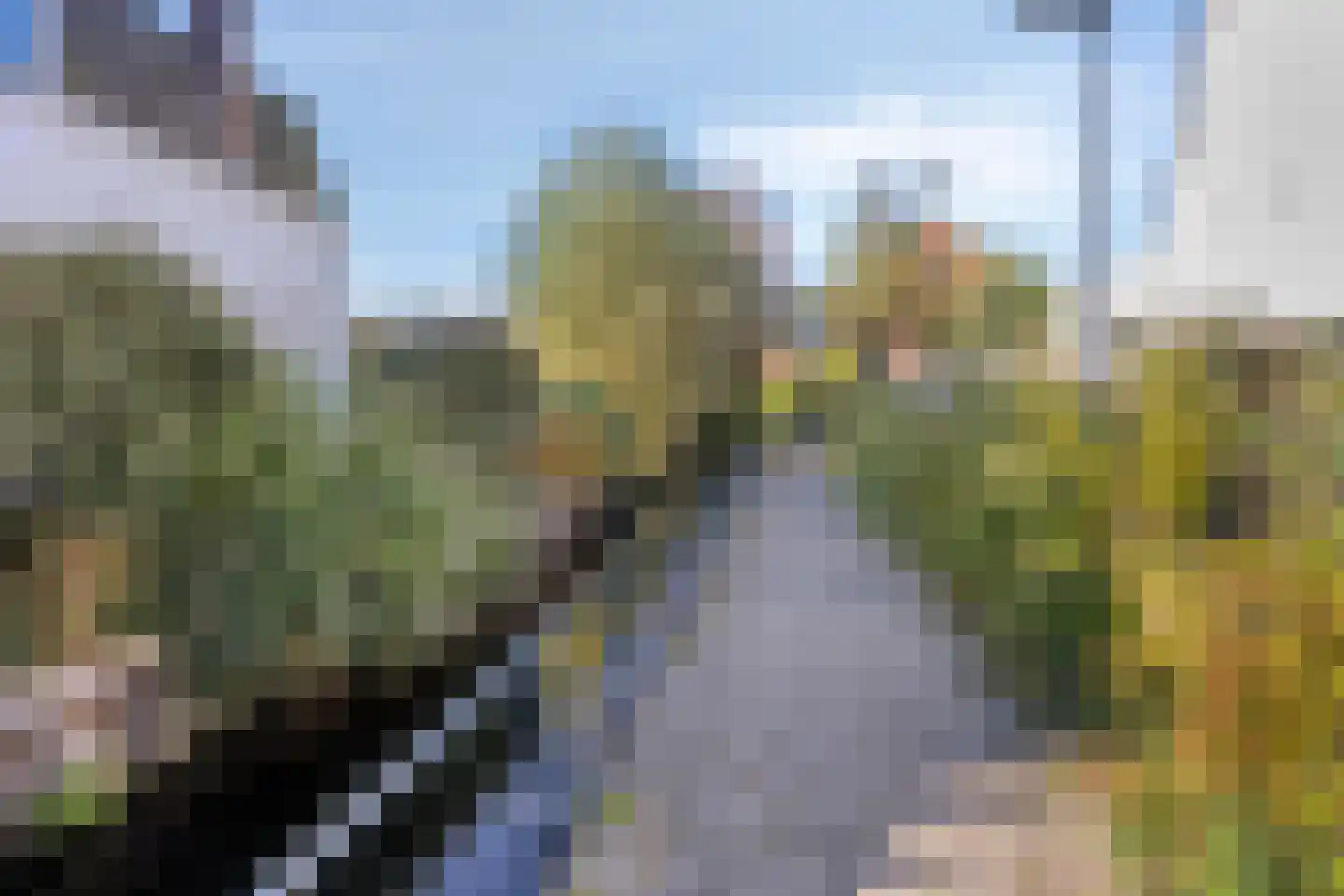 Rijn en Schiekade 63 Leiden thumbnail 57