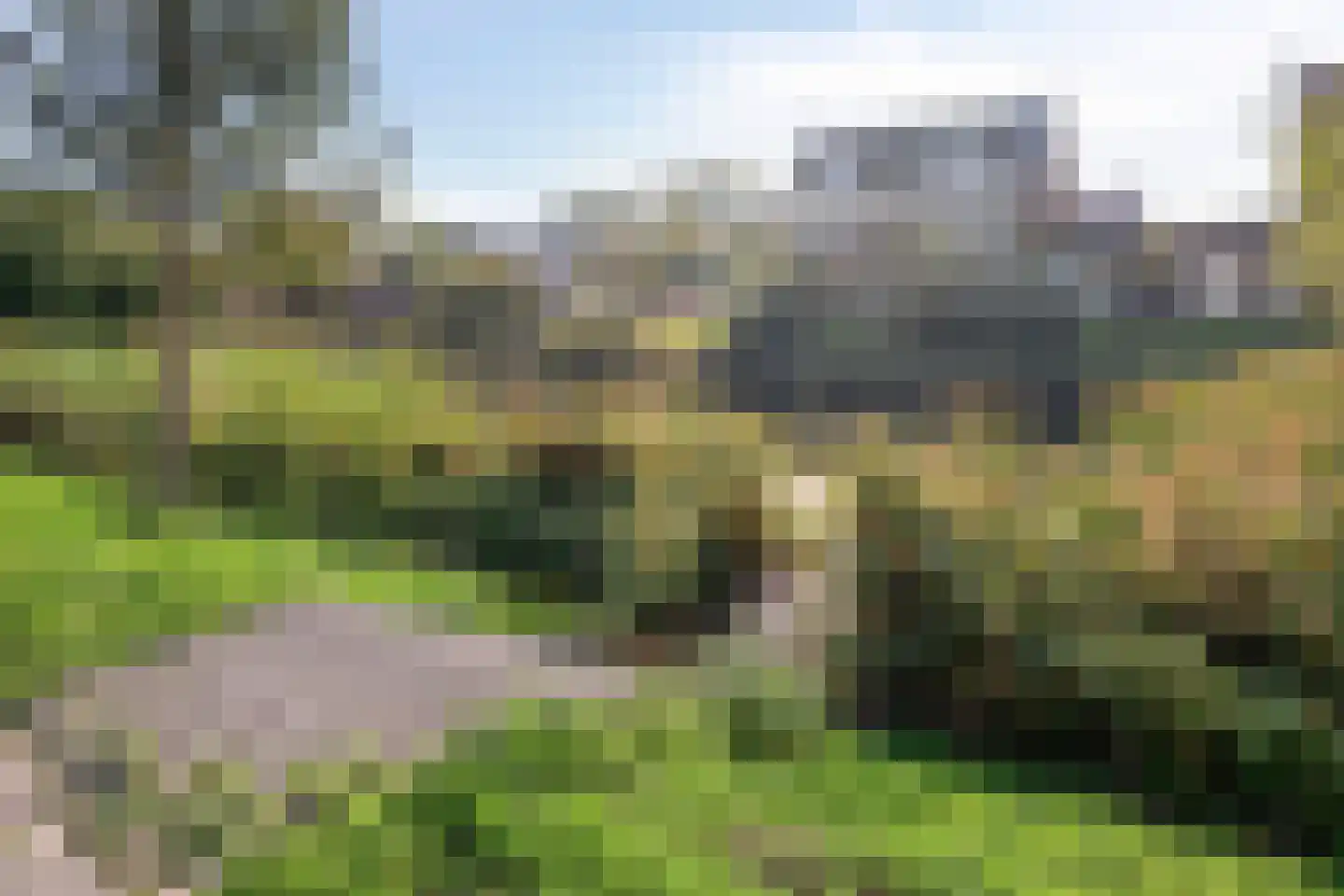 Rijn en Schiekade 63 Leiden thumbnail 59