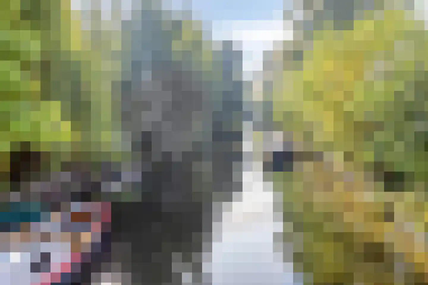 Rijn en Schiekade 63 Leiden thumbnail 64
