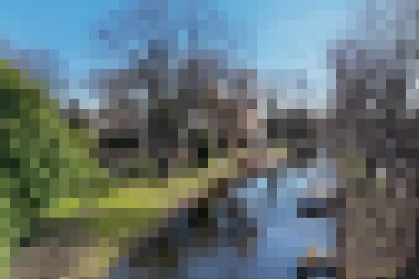 Rijn en Schiekade 95 A Leiden thumbnail 11