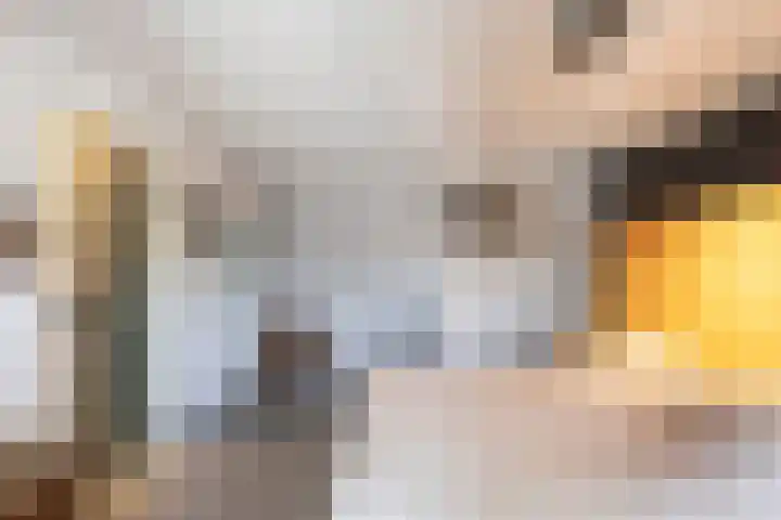 Team foto van Rijn Makelaars