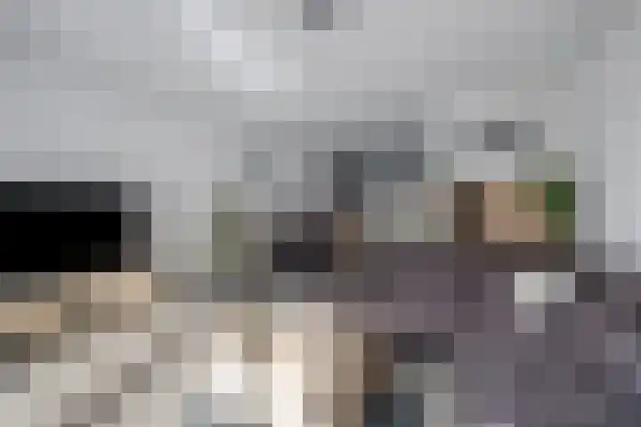 Rijnaakwerf 11 Terneuzen thumbnail 12