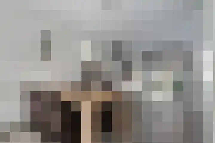Rijnaakwerf 11 Terneuzen thumbnail 13