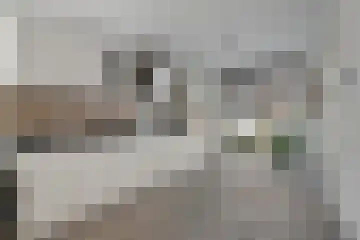 Rijnaakwerf 11 Terneuzen thumbnail 15