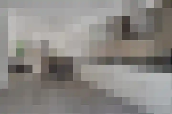 Rijnaakwerf 11 Terneuzen thumbnail 16