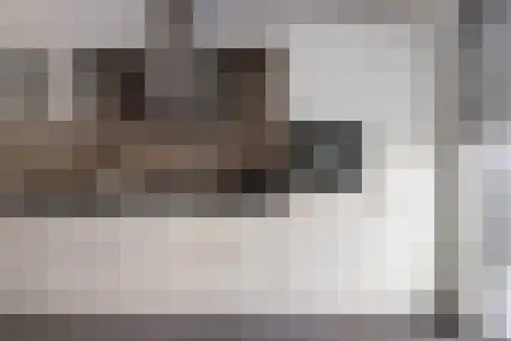 Rijnaakwerf 11 Terneuzen thumbnail 17