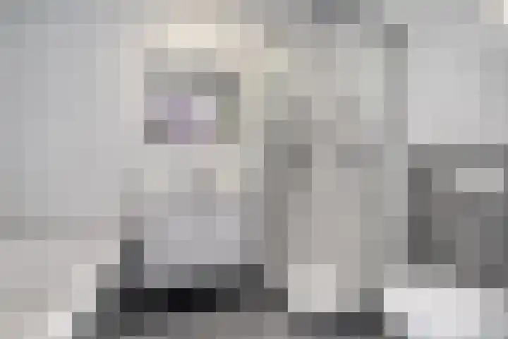 Rijnaakwerf 11 Terneuzen thumbnail 21