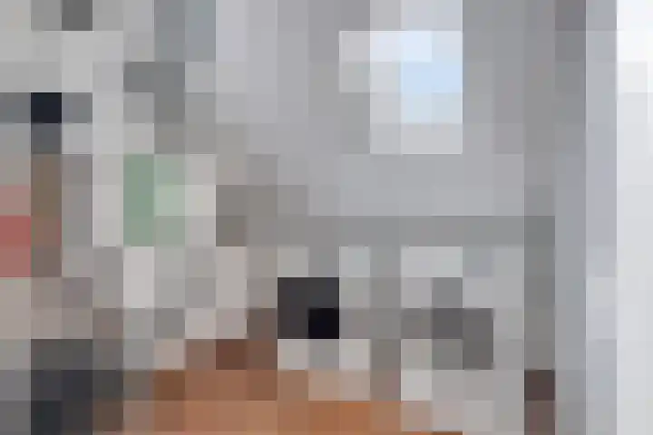 Rijnaakwerf 11 Terneuzen thumbnail 26