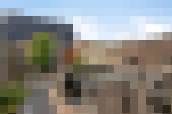Rijnaakwerf 11 Terneuzen thumbnail 30