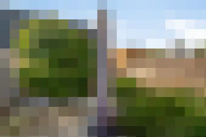 Rijnaakwerf 11 Terneuzen thumbnail 32