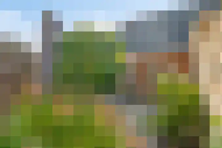 Rijnaakwerf 11 Terneuzen thumbnail 33