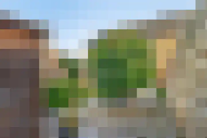 Rijnaakwerf 11 Terneuzen thumbnail 34