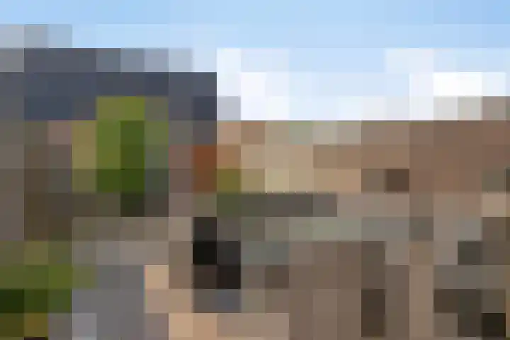 Rijnaakwerf 11 Terneuzen thumbnail 5