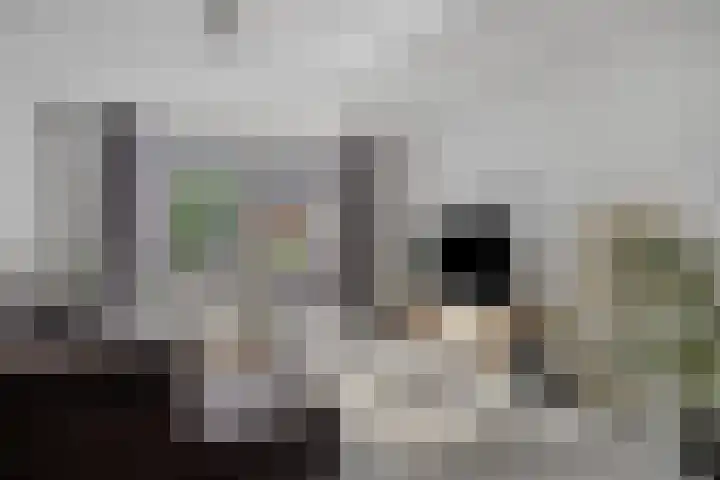 Rijnaakwerf 11 Terneuzen thumbnail 9
