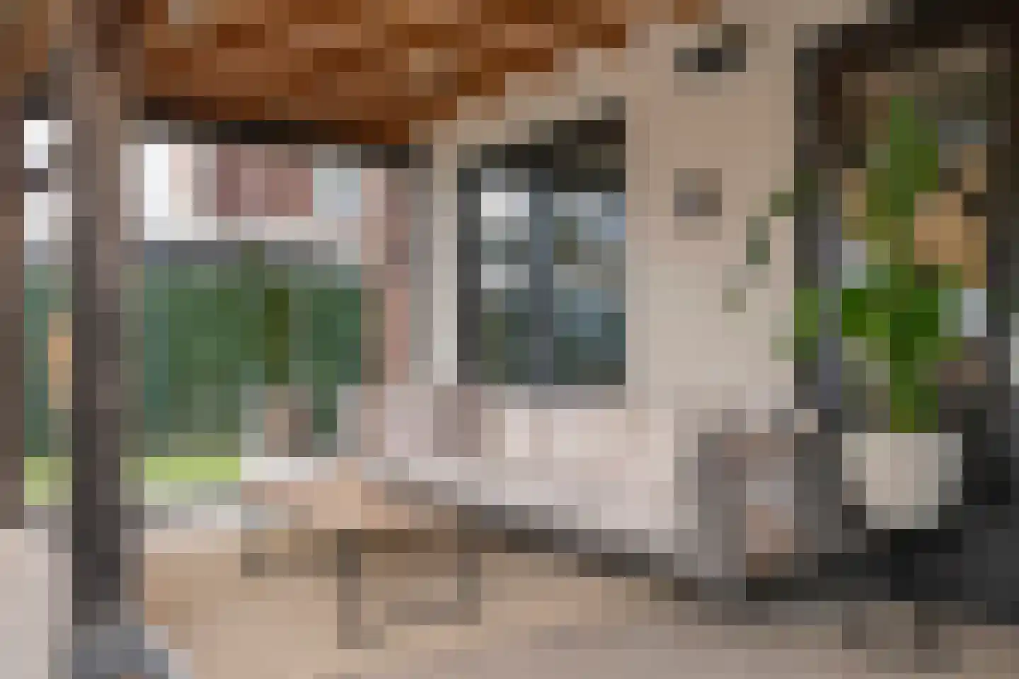 Rijnauwen 20 Gorinchem thumbnail 19