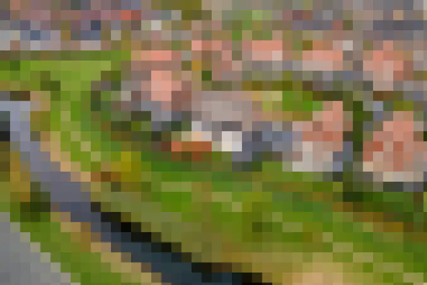 Rijnauwen 20 Gorinchem thumbnail 4
