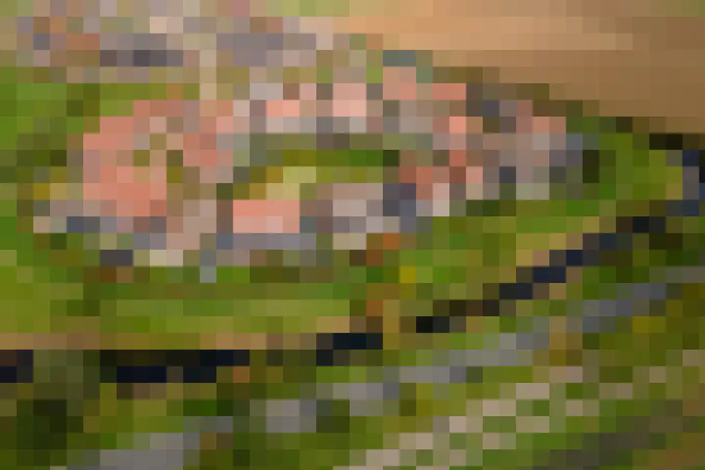 Rijnauwen 20 Gorinchem thumbnail 53