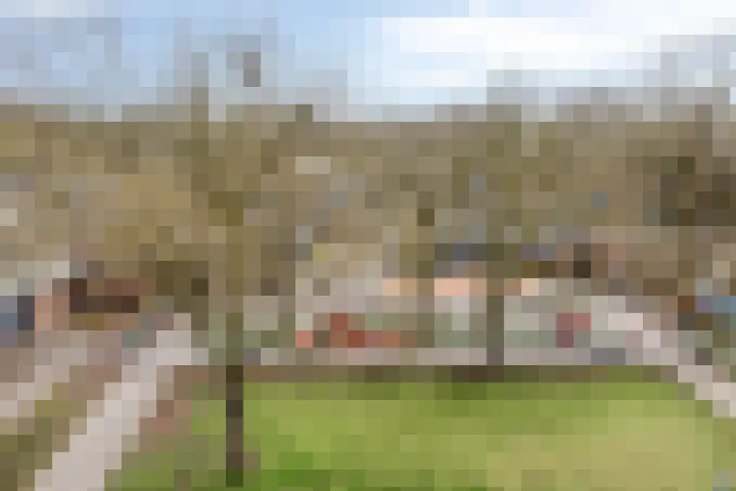 Rijnauwenstraat 262 Breda thumbnail 17