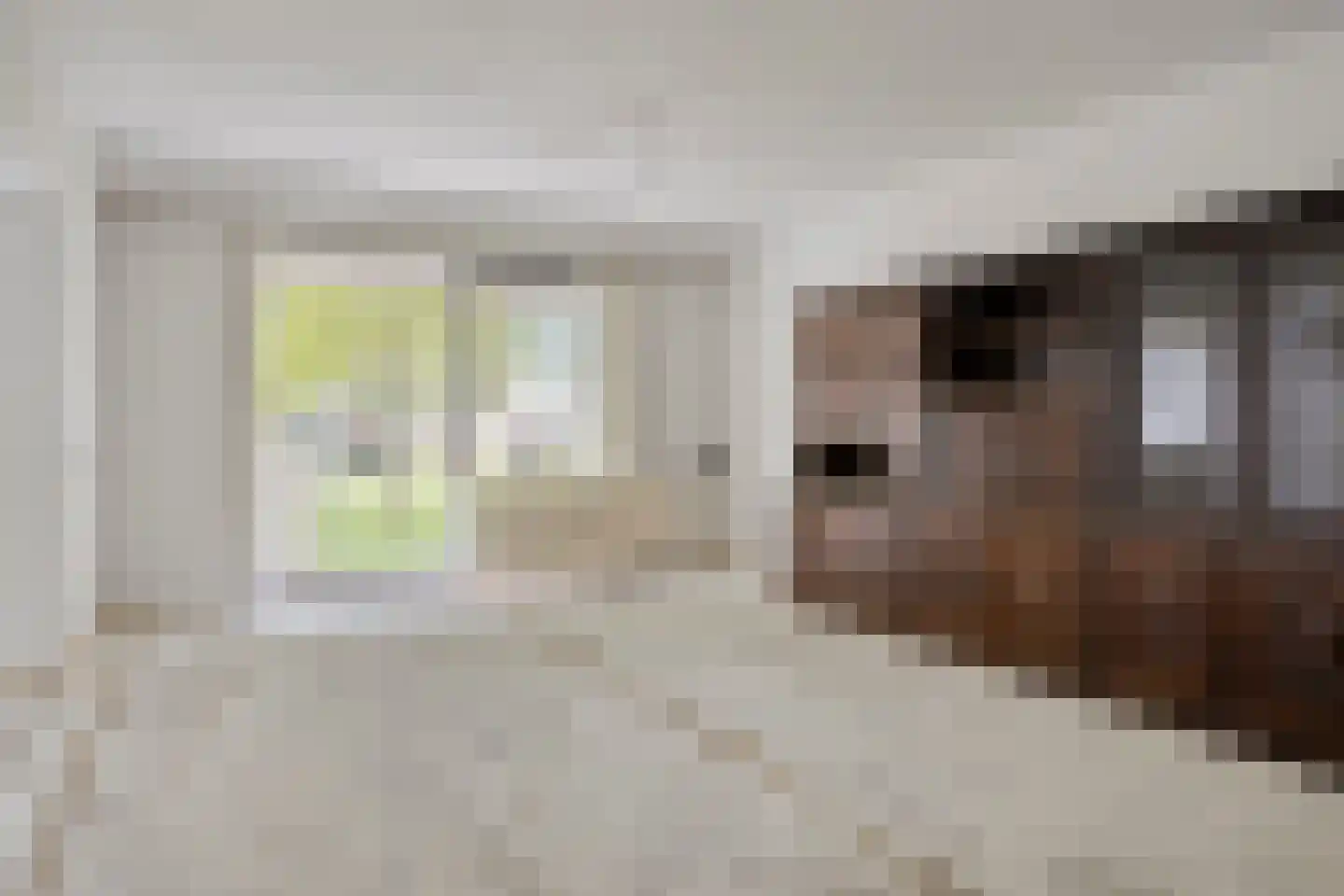 Rijnauwenstraat 41 Breda thumbnail 8