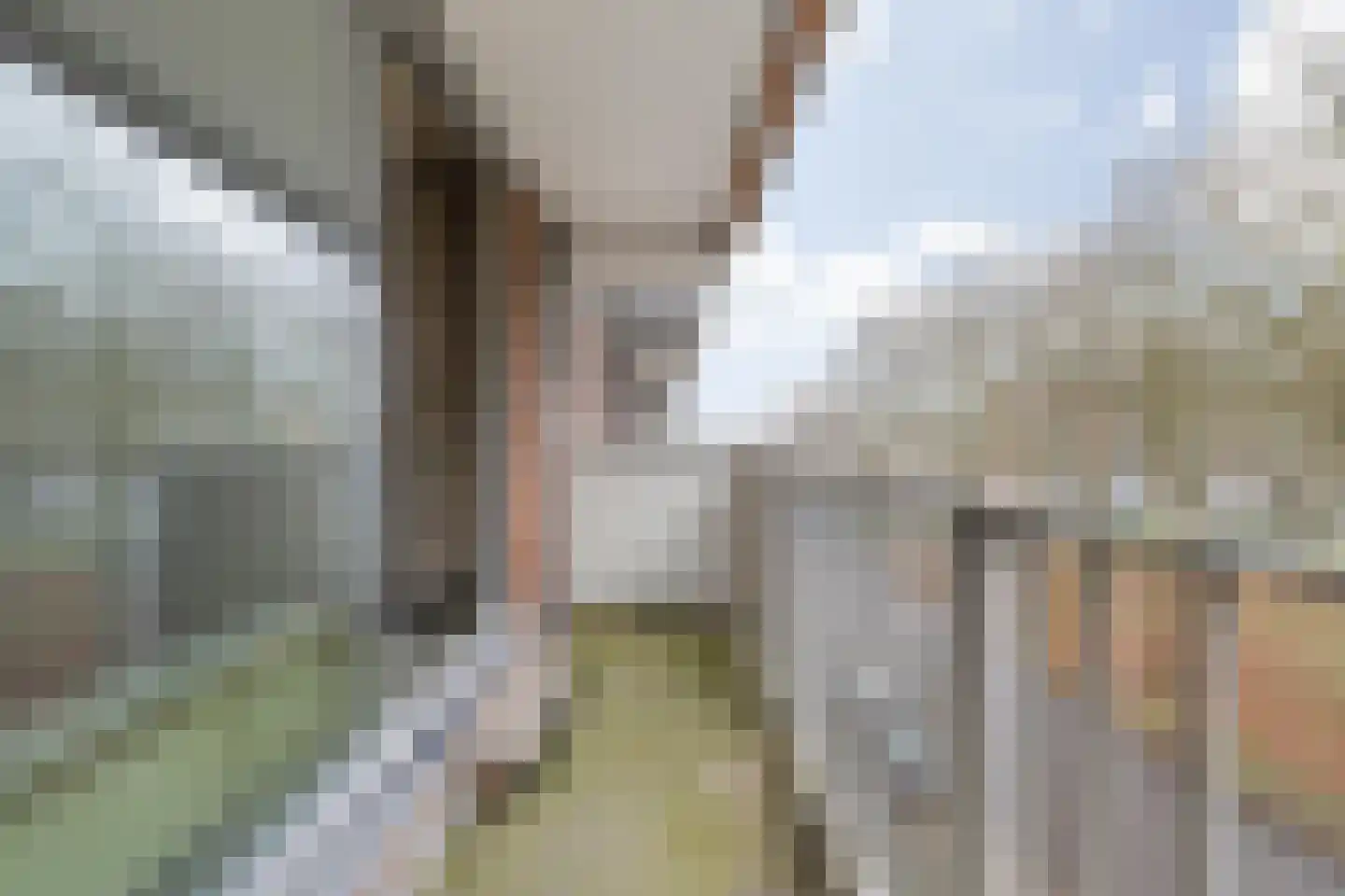 Rijnauwenstraat 65 Breda thumbnail 44