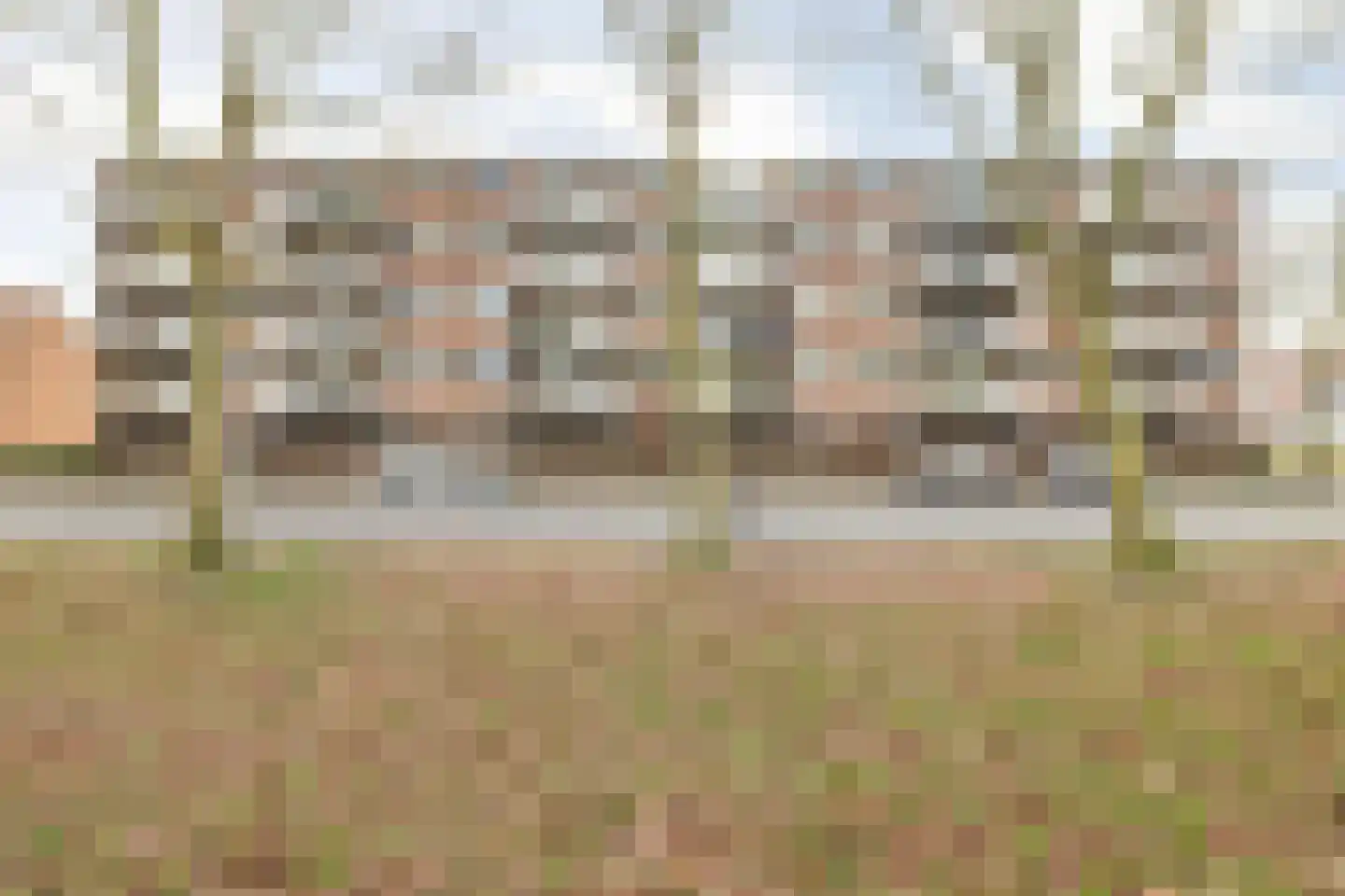Rijnauwenstraat 65 Breda thumbnail 8