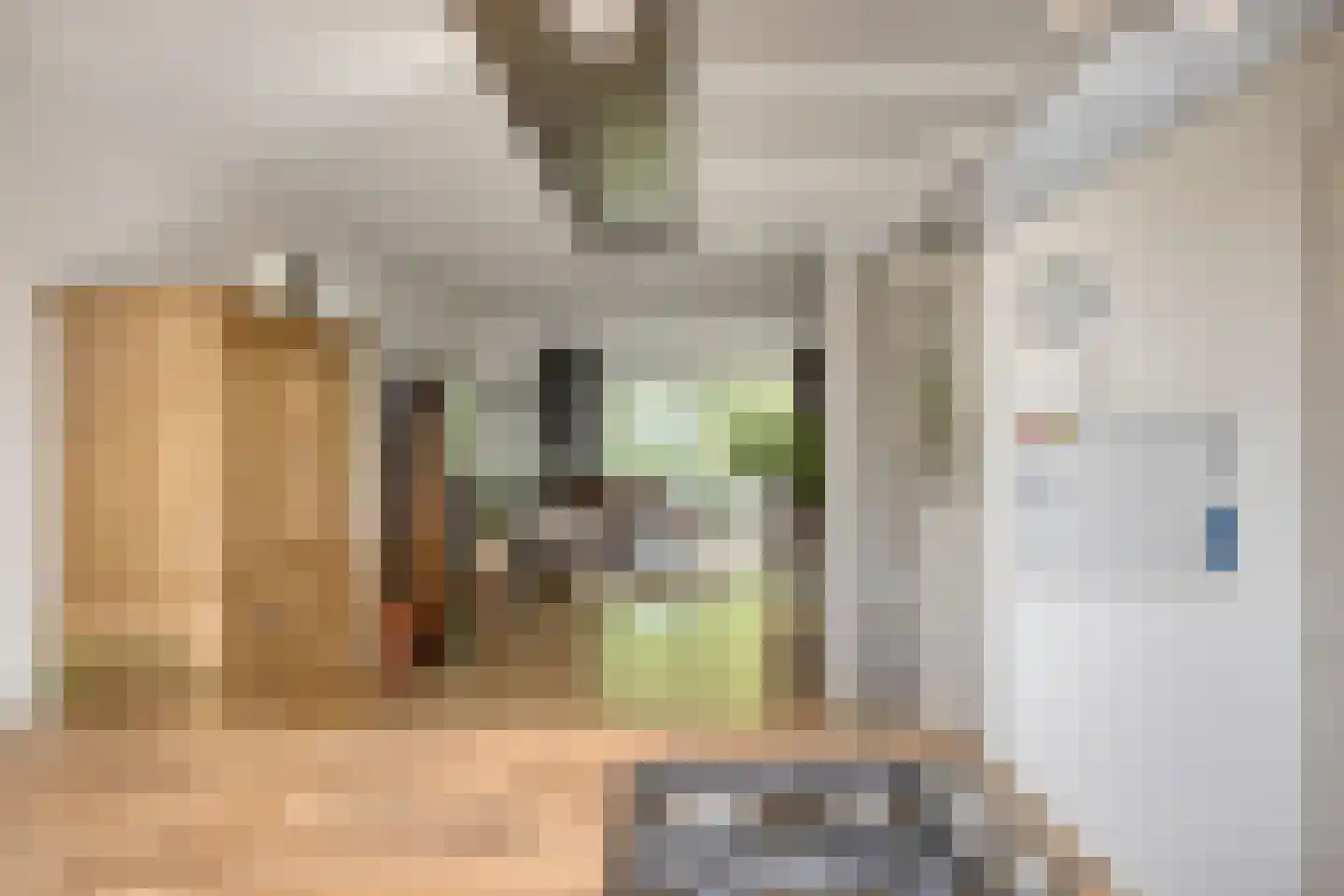 Rijnauwenstraat 83 Breda thumbnail 20