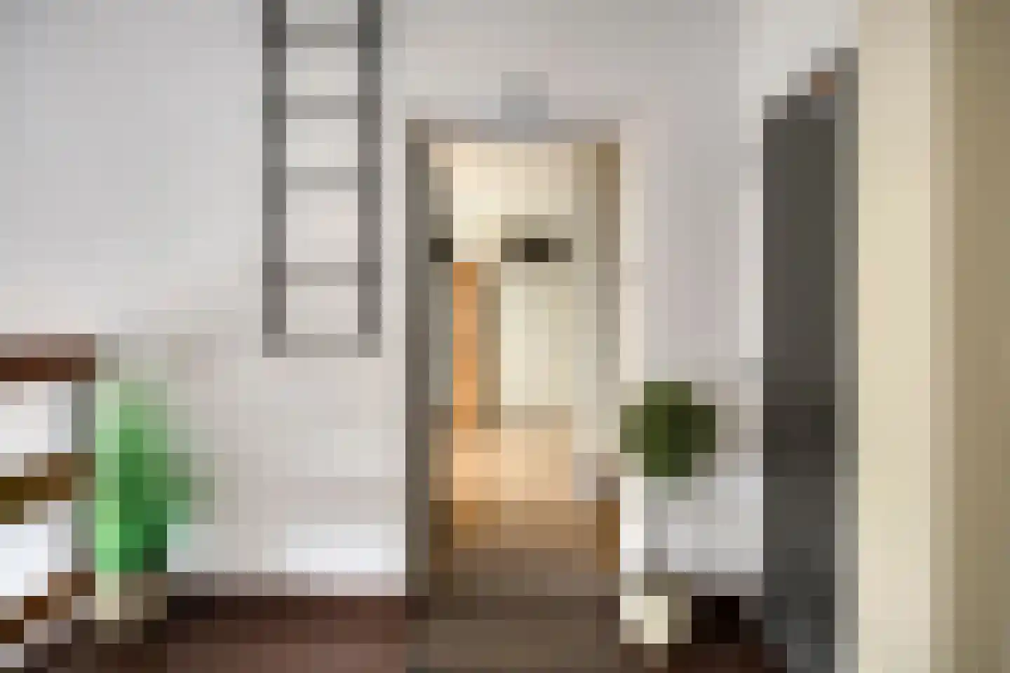 Rijnauwenstraat 83 Breda thumbnail 8