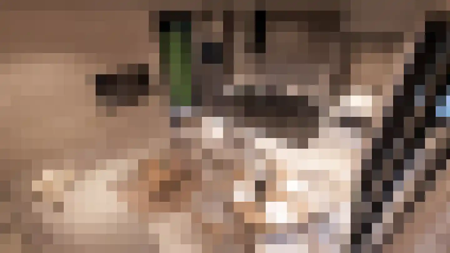 Rijnbandijk 10 b Eck en Wiel thumbnail 11