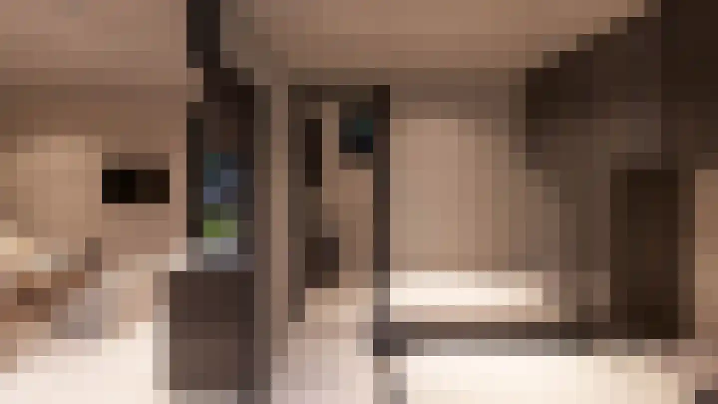Rijnbandijk 10 b Eck en Wiel thumbnail 12
