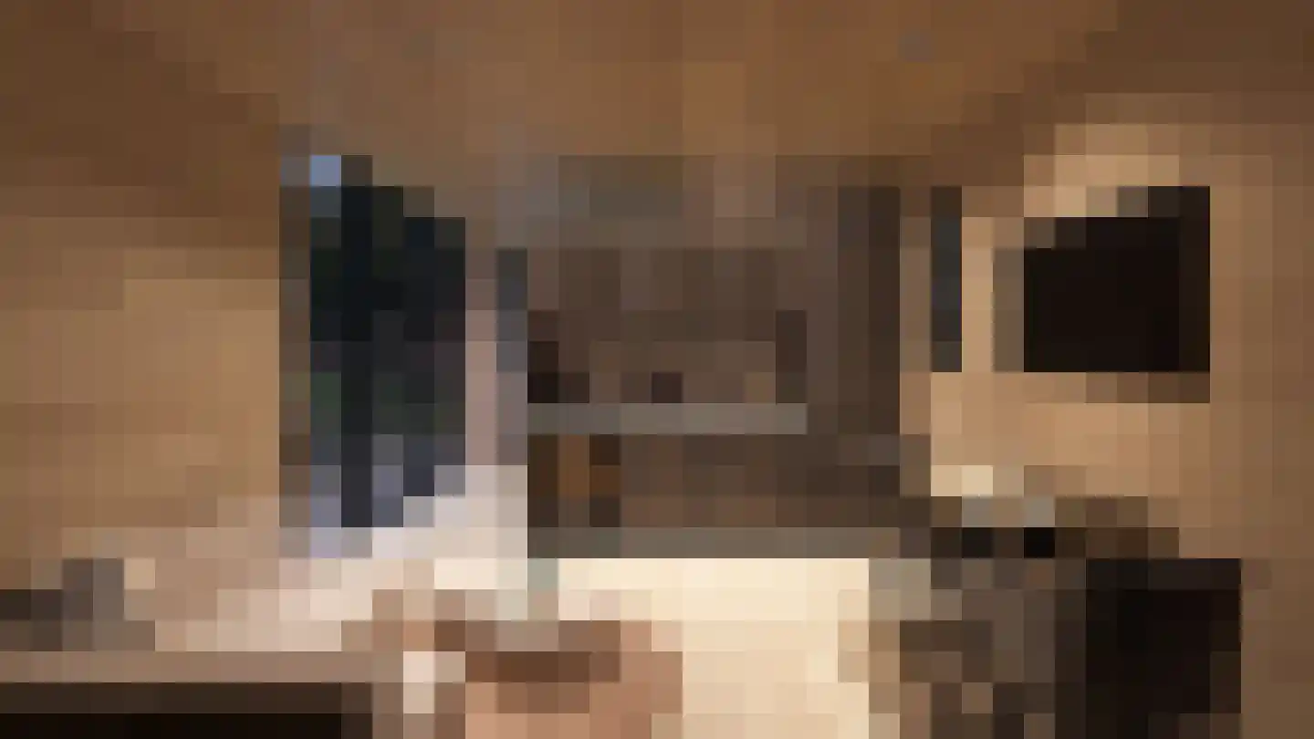 Rijnbandijk 10 b Eck en Wiel thumbnail 18