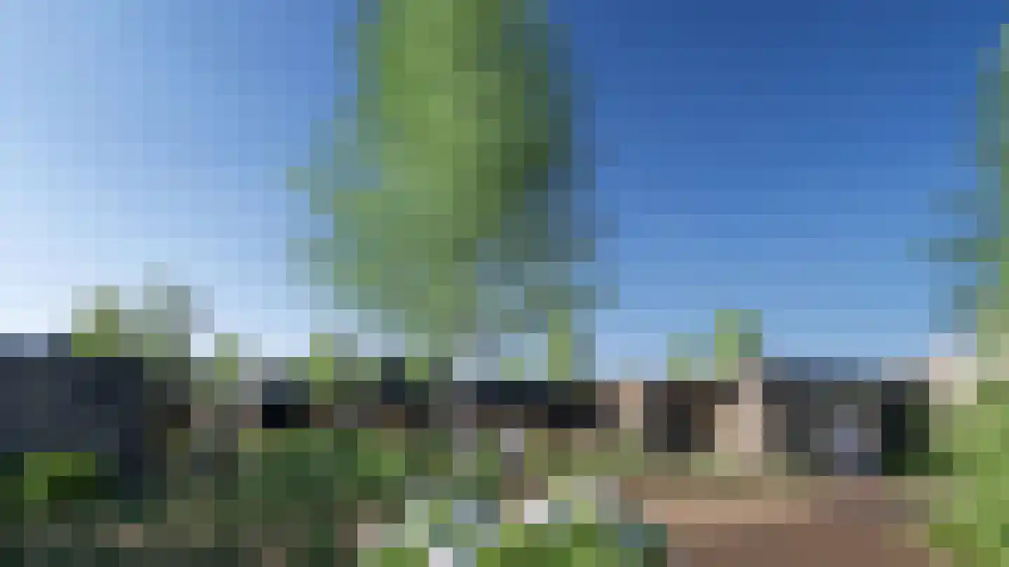 Rijnbandijk 10 b Eck en Wiel thumbnail 22