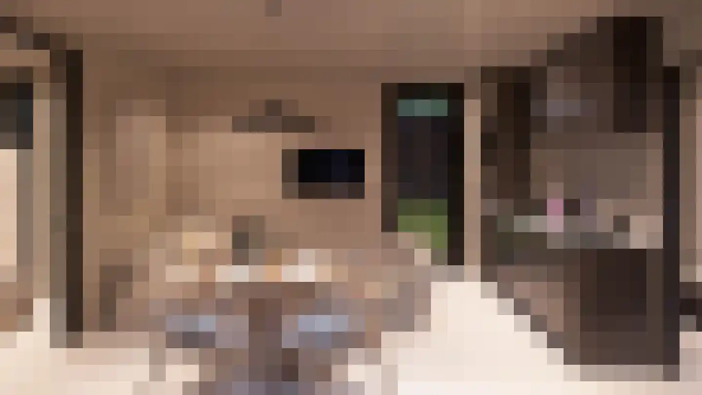 Rijnbandijk 10 b Eck en Wiel thumbnail 8